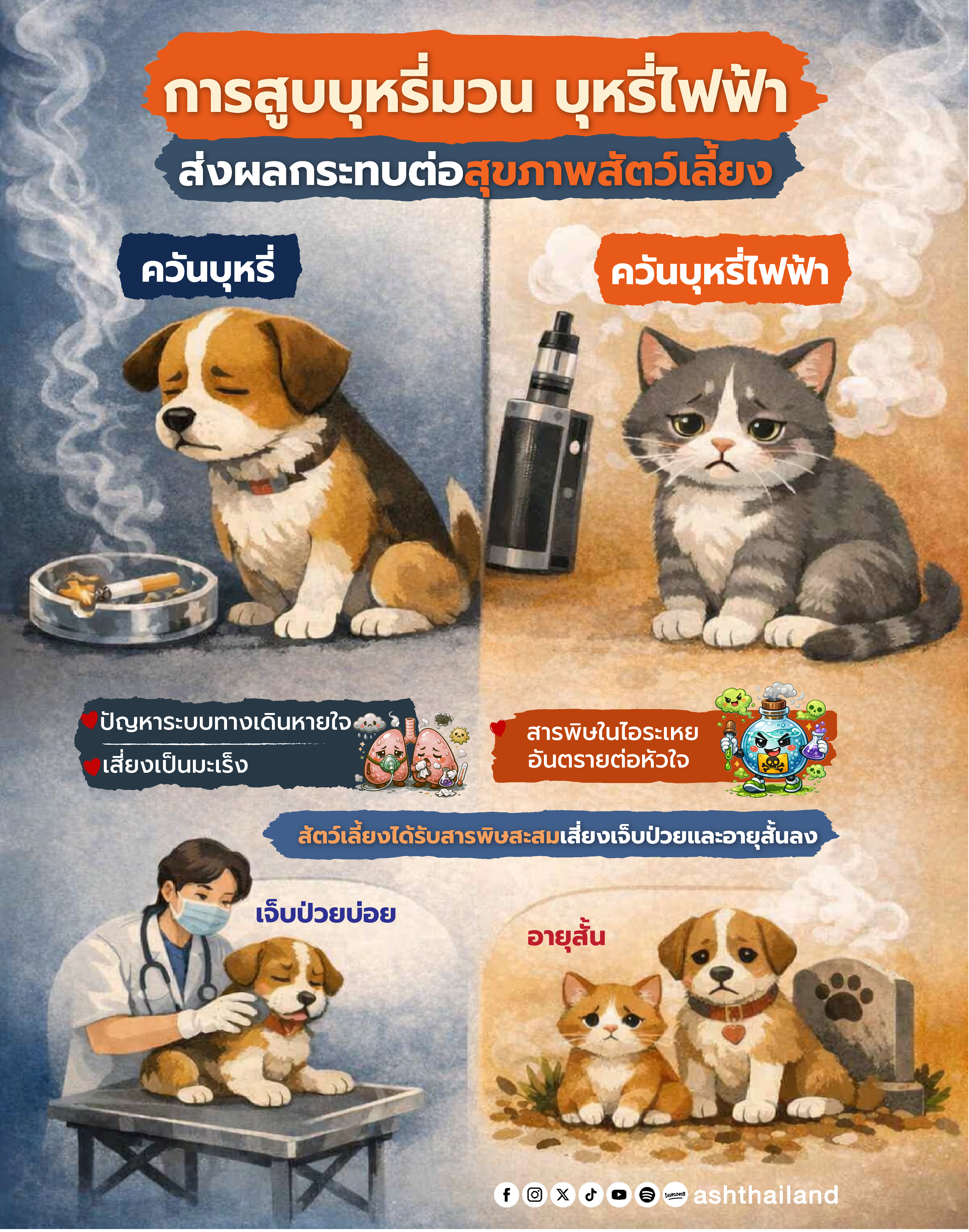 อุทาหรณ์ทาสแมว! เจ้าของสูบบุหรี่ไฟฟ้าทำแมวปอดอักเสบขั้นรุนแรง ผลเอ็กซ์เรย์ฝ้าขาวเต็มอก | Manager Online | LINE TODAY